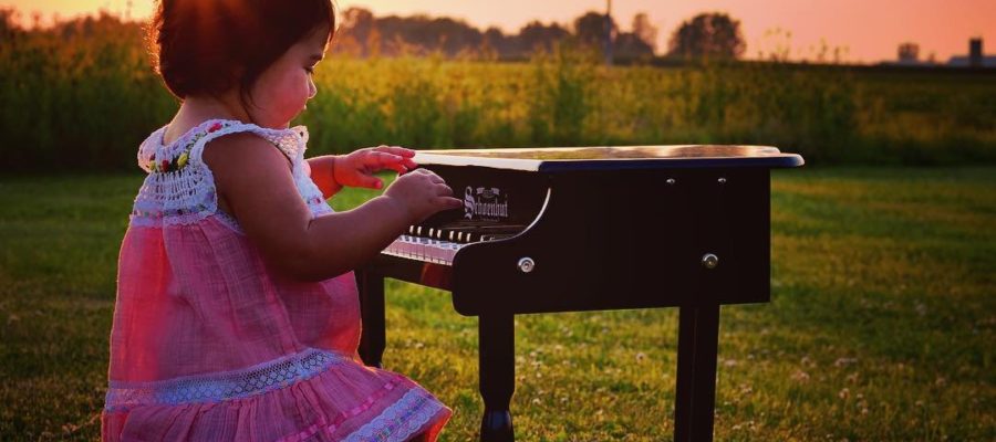 schoenhut 30 key piano