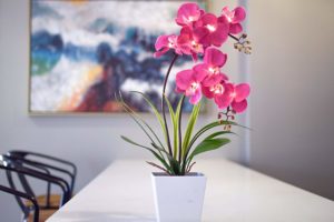 led light up flowers