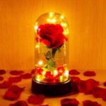 Top 5 Rose Flower Lamp Reviews
