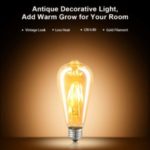 Top 5 Warm Light LED Bulbs (2021 Reviews)