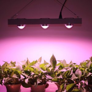 cob led grow lights