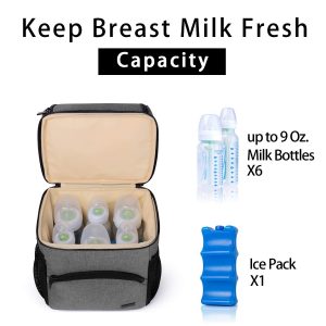 Teamoy Double Layer Breastmilk Cooler Bag