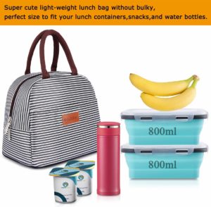 best lunch bags for nurses