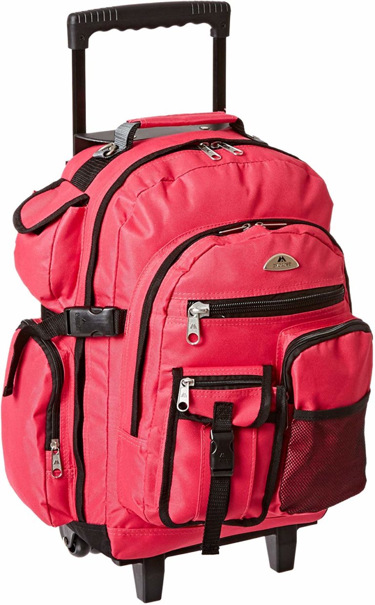 Top 10 Best Rolling Bag for Nursing Students Reviews Brand Review