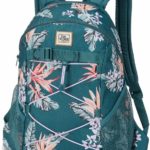 Top 2 Dakine Wonder Backpack Review
