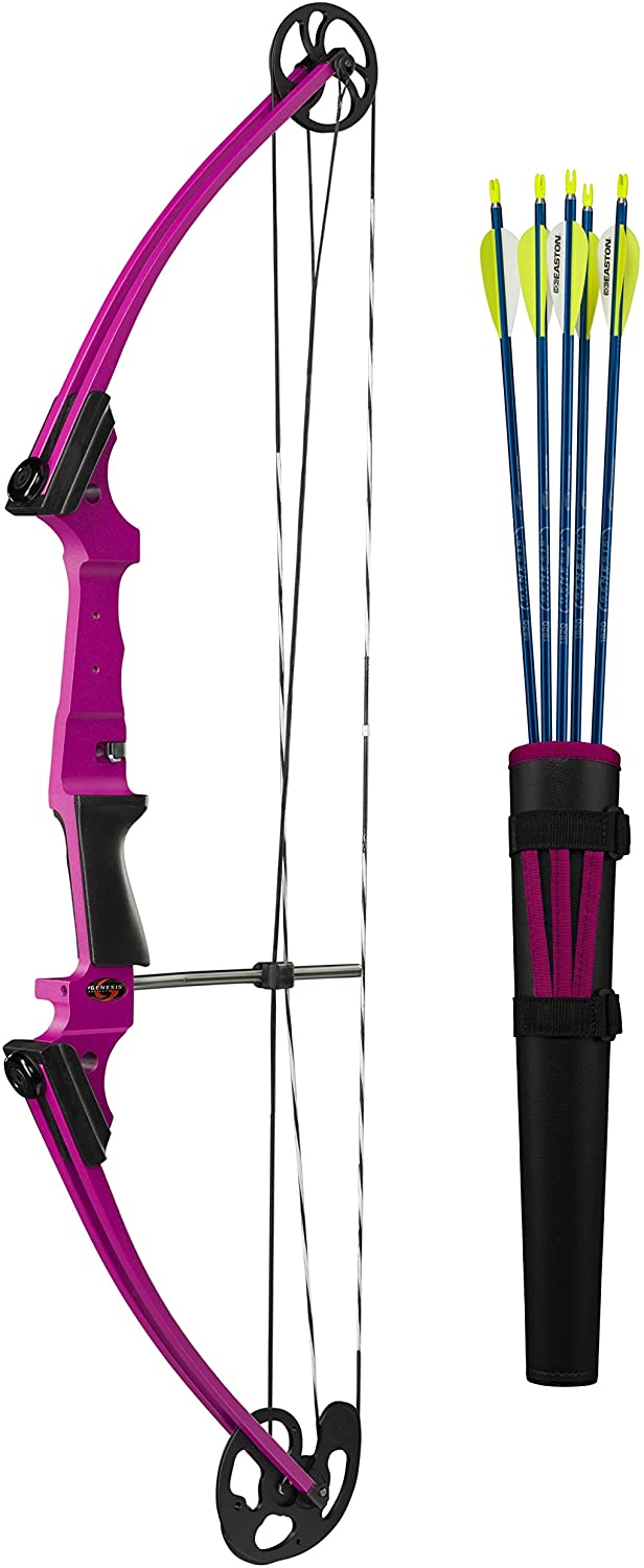 Top 10 Best Compound Bows Under 200 Brand Review